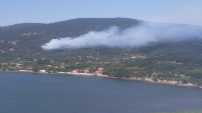 İzmir'de iki orman yangını birden!