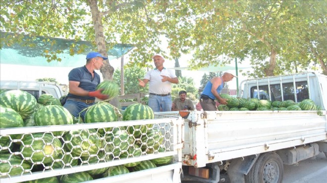 İzmir'de karpuz üreticisi dertli: Kilosu 30 kuruşa düştü!