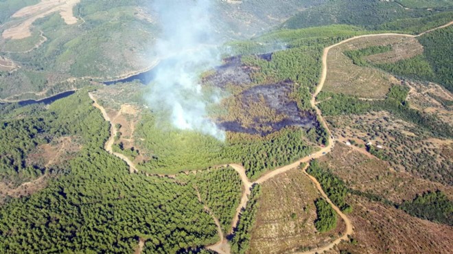 İzmir'de kızılçam ormanında korkutan yangın!