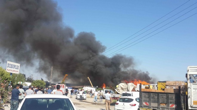 İzmir'de korkutan yangın: Hayvan barınağı tahliye edildi
