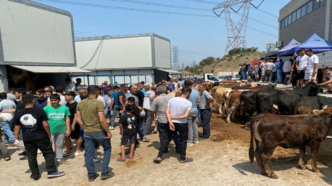 İzmir'de kurban kesim noktalarında yoğunluk