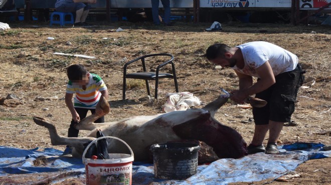 İzmir'de kurban manzaraları: 7 yaşındaki çocuk...