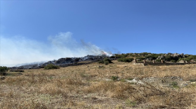 İzmir'de makilik alanda yangın