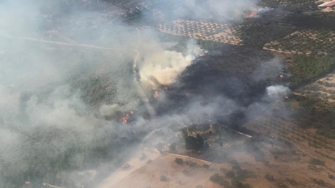 Foça'da besi çiftlikleri yakınında yangın