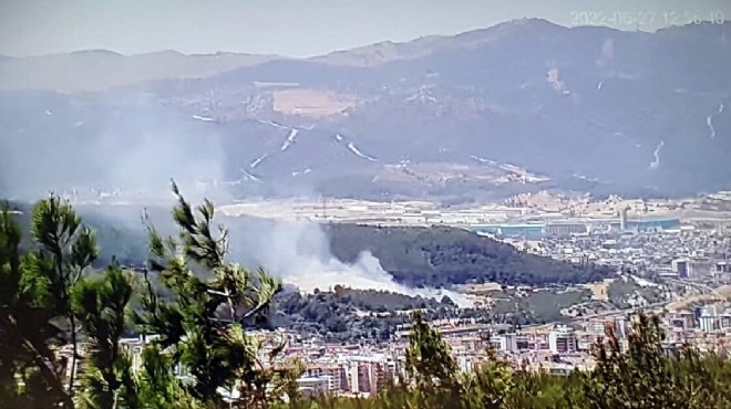 Buca'daki ağaçlık alanda yangın paniği!