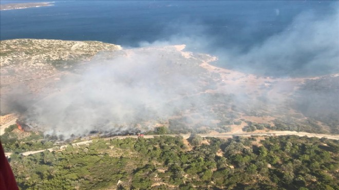 İzmir de makilik alanlarda yangın