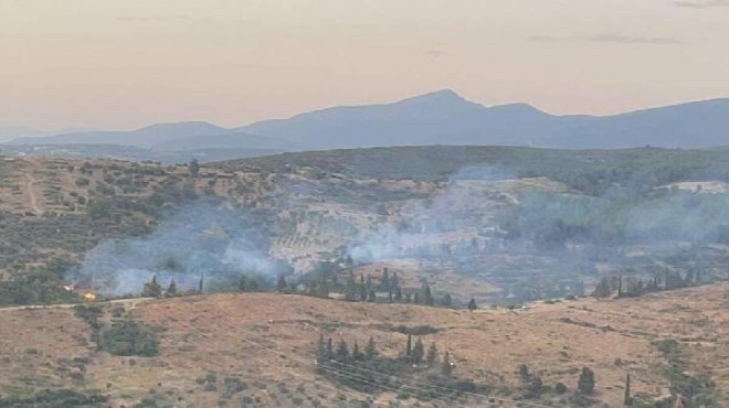İzmir de o ilçesinde orman yangını