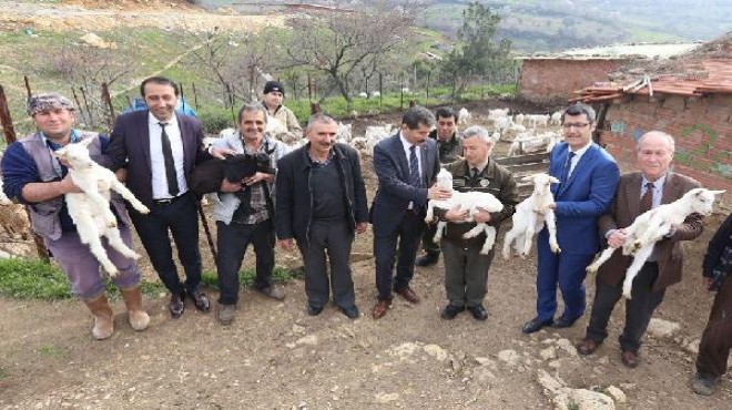 İzmir de orman köylülerine  teke  desteği