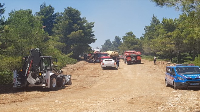 İzmir de korkutan orman yangını