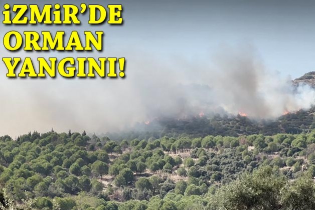 İzmir'de orman yangını!