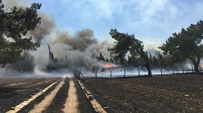 İzmir'de ormanlık alanda korkutan yangın!