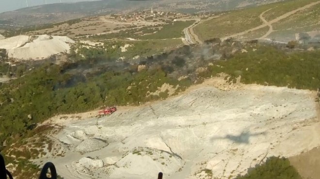 İzmir'de ormanlık alanda korkutan yangın!