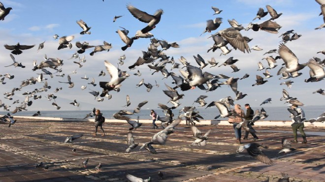 Sağanak kabusu sonrası İzmir de son durum!