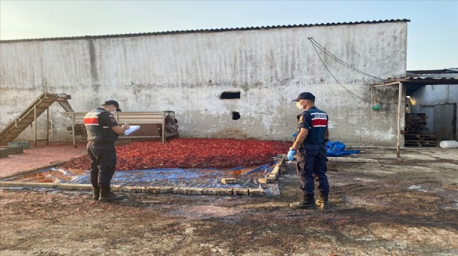 İzmir de sağlıksız koşullarda üretilen 52 bin 409 kilogram salçaya el kondu