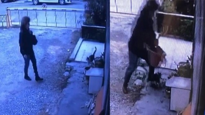 İzmir'de 'saksı' hırsızlığı kamerada