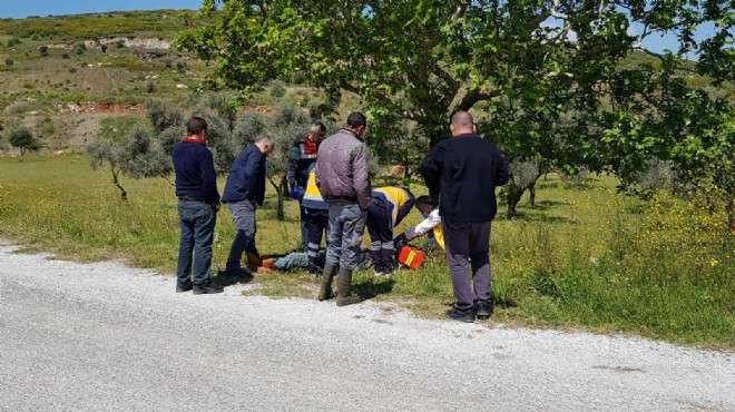 İzmir'de sır son: Yol kenarında ölü bulundu