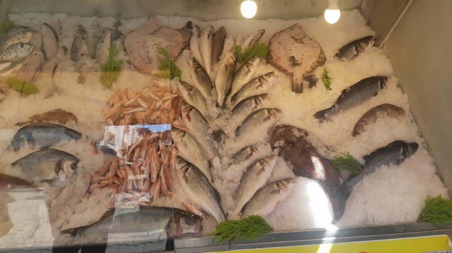 İzmir de su ürünleri denetimi: Ceza yağdı!