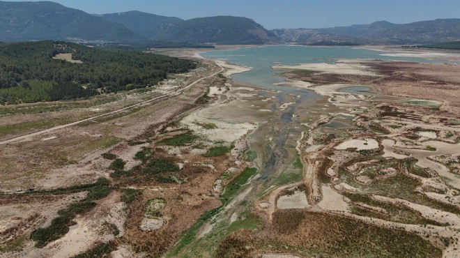 İzmir de tarıma kuraklık tehdidi!