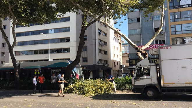 İzmir'de trafiği kilitleyen kaza: Asırlık çınara çarptı, kaçtı!