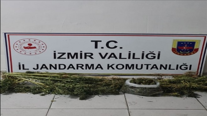 İzmir'de uyuşturucu operasyonları: 6 gözaltı