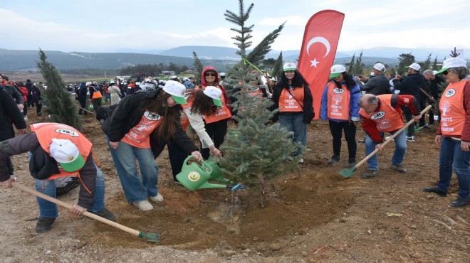 İzmir de yanan ormanlar yeniden hayat buluyor