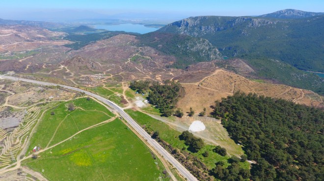 İzmir'de yanan ormanların yerine 'bereket ormanları' geldi