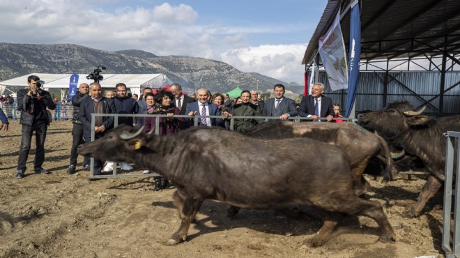 İzmir de yerelde kalkınmada manda modeli!