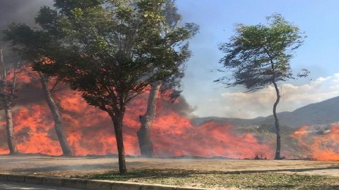 İzmir'de yol kenarındaki otluk alanda yangın