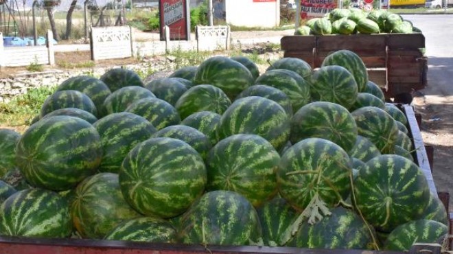 İzmir de zam şampiyonu karpuz oldu