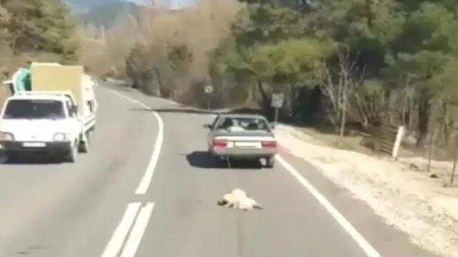 İzmir'deki dehşette 'Paşa' kurtuldu, işkenceci serbest kaldı!