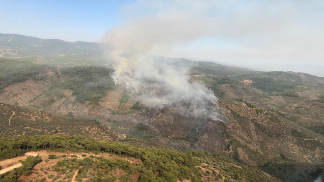 İzmir'deki yangında 'piknik ateşi' iddiası
