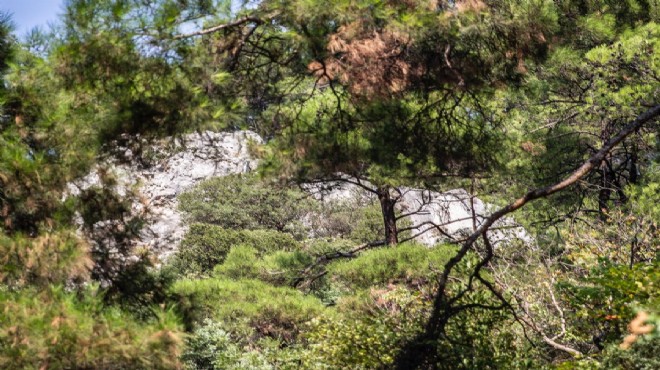 İzmir deki ormanın içinde 33 asırlık tarih!