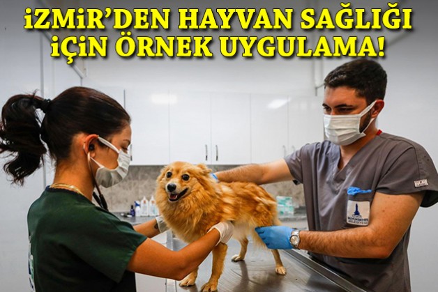 İzmir, hayvan sağlığında çıtayı yükseltti