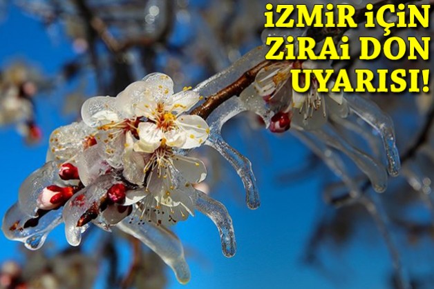 İzmir için zirai don uyarısı!