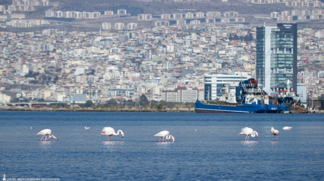 İzmir iklim krizine karşı hazırlıkta!