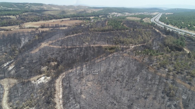 İzmir'in ciğeri yandı, zümrüt yeşili orman karardı!