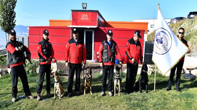 İzmir'in hayat kurtaran köpekleri!