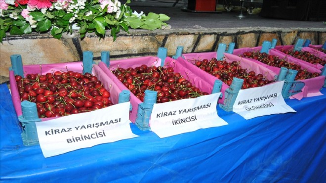 İzmir in iki ilçesinde kiraz şöleni!