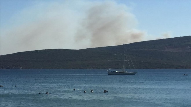 İzmir'in iki ilçesinde yangın paniği: Kontrol altına alındı