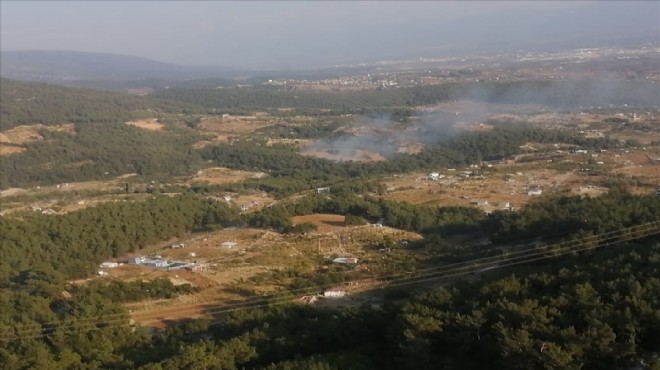 İzmir'in o ilçesinde orman yangını paniği