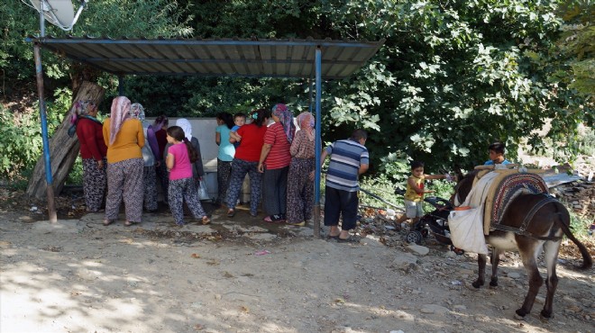 İzmir in o ilçesinde susuzluk çilesi: Eşeklerle taşıyorlar!