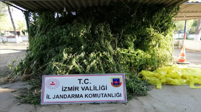 İzmir in üç ilçesinde zehir tacirlerine baskın!