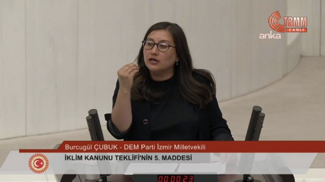 Meclis te Kürtçe  Allah belanı versin  tartışması