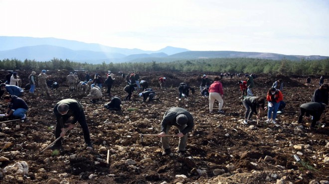 İzmir'de 65 bin fidan toprakla buluştu