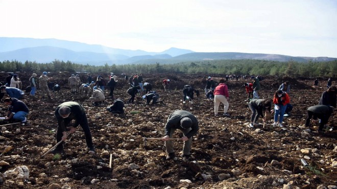 İzmir’de 65 bin fidan toprakla buluştu