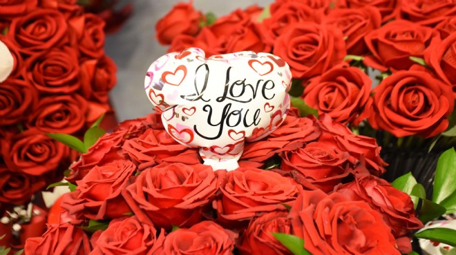 İzmir’de Sevgililer Günü mesaisi: 2,5 milyon gül hazır!