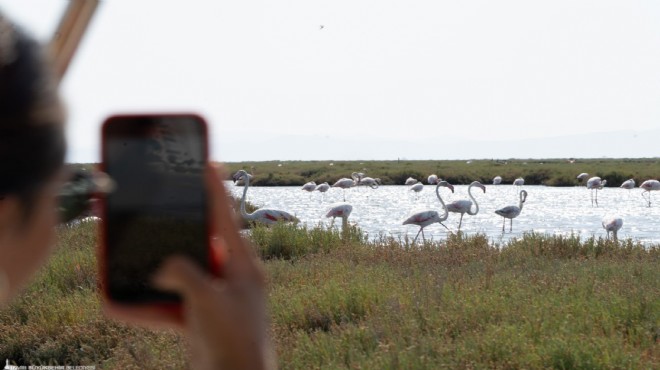 İzmir'de bayram rotası Flamingo Yolu!