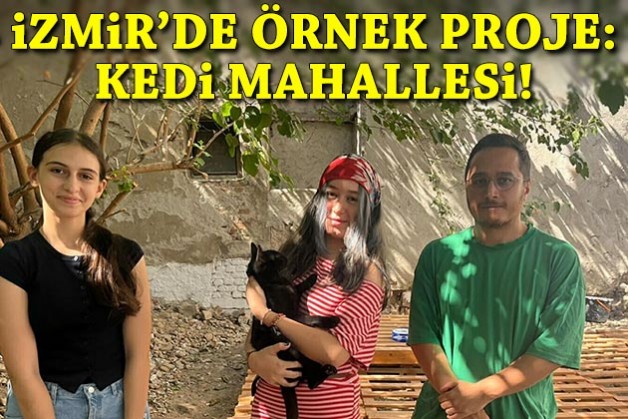 İzmir’de patili dostlar için örnek proje: ‘Kedi Mahallesi’