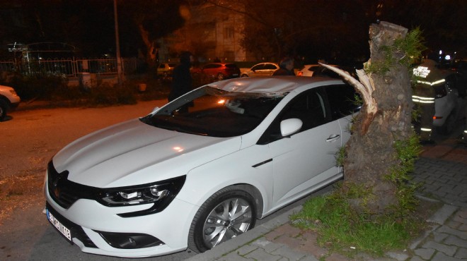 İzmir'i fırtına vurdu: Seferler durdu, ağaçlar devrildi…