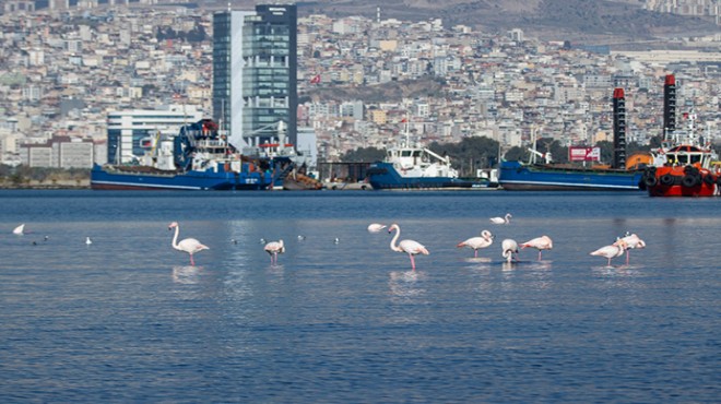 İzmir’in iklim deneyimi Avrupa’ya taşınacak
